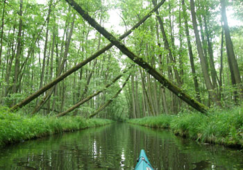 Wasserwandertour auf der Schwanenhavel / Mecklenburger Seenplatte